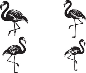 Obraz premium Four black flamingo silhouettes on isolated white background for design