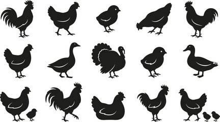 Black silhouettes of various chickens, roosters, and chicks on white background © Graphic Shops