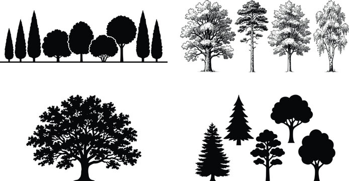 Tree Silhouette Vector Collection Featuring Oak Pine Cypress and Decorative Forest Trees for Nature Landscape Design
