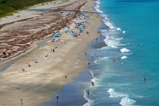Aerial view of the sandy shoreline with people sunbathing under colorful umbrellas, turquoise ocean waves, and patches of seaweed on the sand in Juno Beach, Florida, United States.