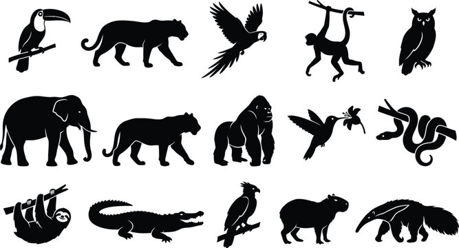 Black silhouettes of various wild animals and birds on white background, including toucan, tiger, eagle, monkey