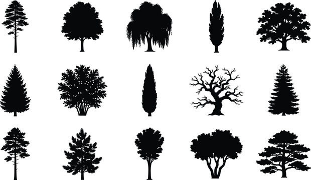 Tree Silhouette Vector Collection Featuring Pine Cypress Willow and Bare Trees for Nature Landscape Design