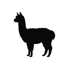 Obraz premium Black silhouette of alpaca icon vector flat design.