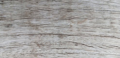 Fototapeta premium Weathered driftwood texture background, rustic gray wood grain surface, aged timber plank with natural cracks and organic patterns