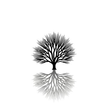 A stark black and white graphic illustration of a stylized tree with a detailed root system, reflected below on a clean white background