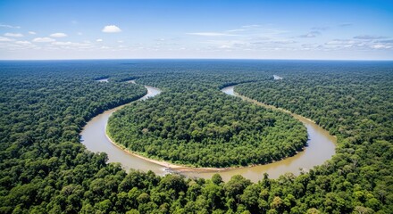 Obraz premium Breathtaking aerial perspective of a winding river curving through a vast, lush tropical rainforest canopy under a clear, bright sky, green, view, tropical