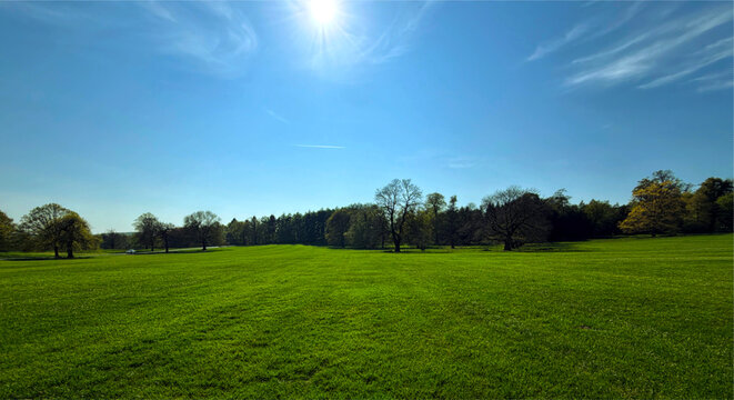 A wide, open field extends beneath a clear blue sky, with the sun beaming down. Scattered trees break up the expanse, adding contrast to the lush green grass in Harewood, Leeds, UK.