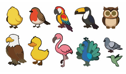 Obraz premium Cute bird icon vector collection with colorful cartoon wildlife illustrations for kids and education