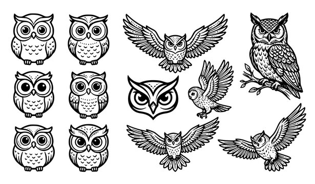 Hand drawn owl line art vector illustration set with detailed wildlife bird designs