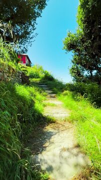 4K Vertical POV shot of a person walking on old stairs with grass growing on them in front of old wooden houses at Chehni Kothi in Kullu district, Himachal Pradesh, India. Tourist exploring hidden gem