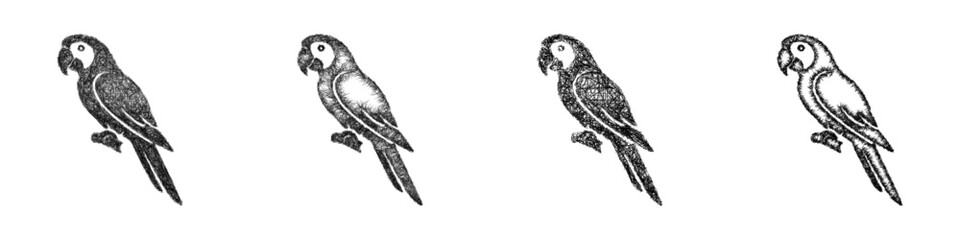Fototapeta premium Sketch parrot icon design set