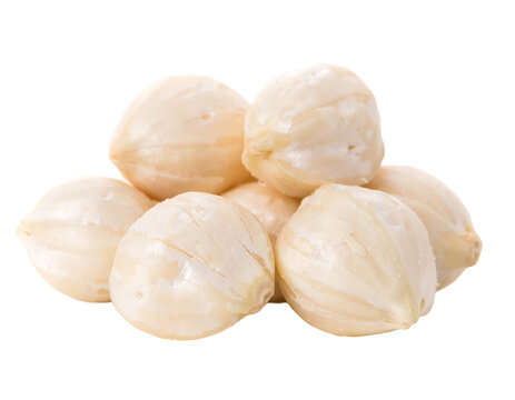 Freshly peeled candlenuts isolated on Transparent Background PNG ready to use.
