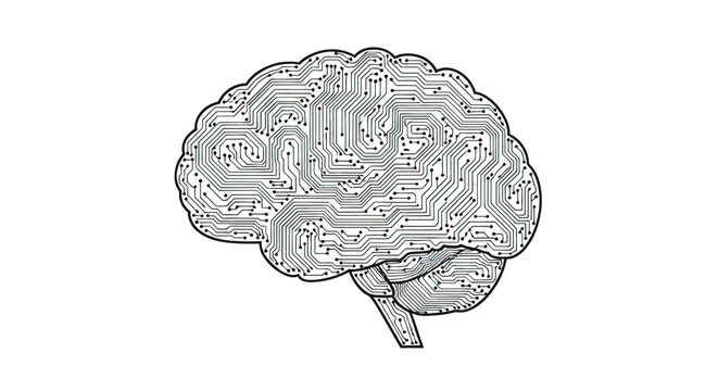 Human Brain Anatomy Medical Illustration.