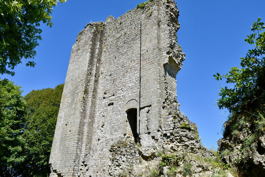 Domfront Castle (French: Ch&acirc;teau Domfront) Tall Freestanding Wall Ruin Detail