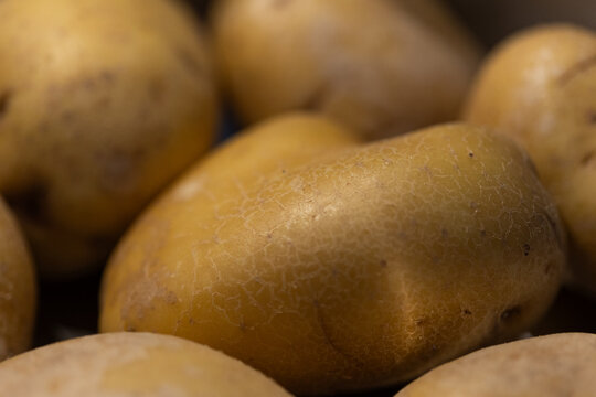 Close-up raw potatoes in a pot, vegatable, food. Vegetarian food, cooking, healthy eating, preparing meals, lunch.