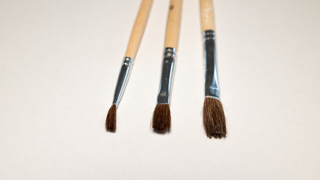 Three different brush sizes against white background. Brush with brown bristles, painting supplies, for developing creativity.
