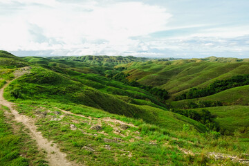 Naklejka premium Wairinding Hill Scenic Rolling Grassland Savanna Landscape in East Sumba