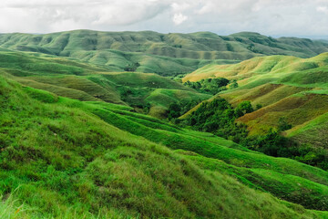 Fototapeta premium Wairinding Hill Scenic Rolling Grassland Savanna Landscape in East Sumba