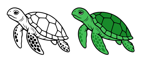 Sea turtle illustration, in line art and colored design, for coloring page © Bambang