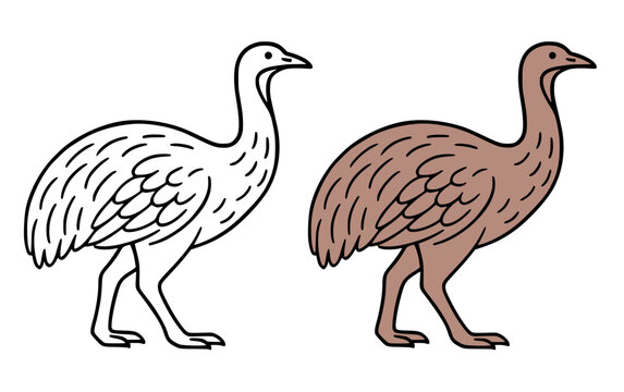 Moa illustration, in line art and colored design, for coloring page