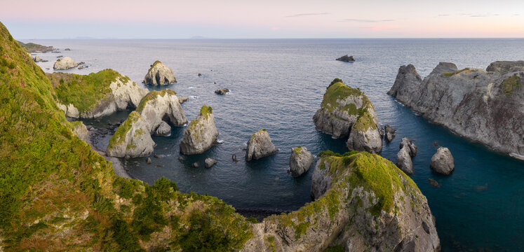 Aerial view of the rugged coastline featuring dramatic sea stacks and lush green cliffs overlooking the calm blue ocean at dusk Izu, Shizuoka, Japan.