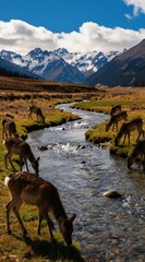 Fototapeta premium Herd of deer drink water from clear mountain stream flowing through green grassy meadow. Snow capped peaks rise behind valley under blue sky with white clouds.