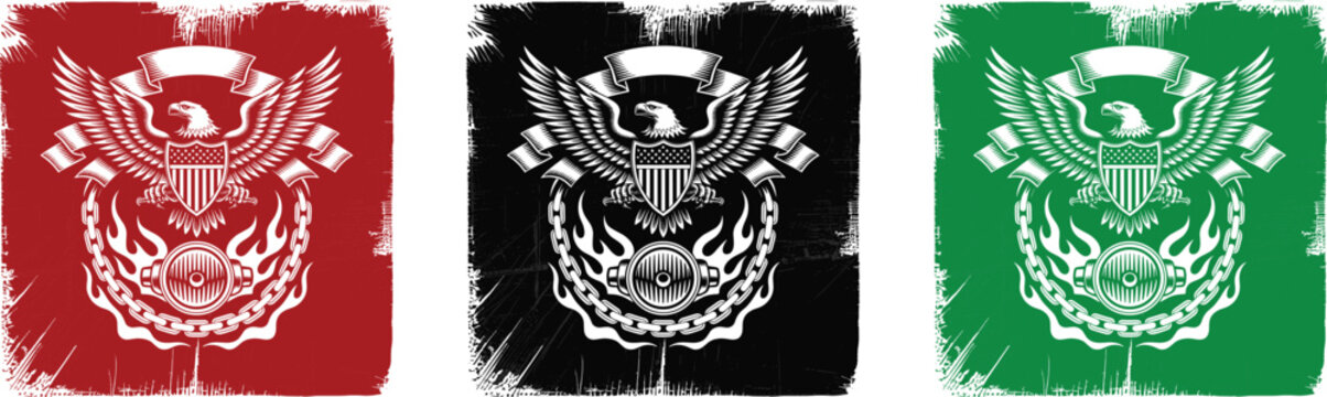 American eagle with shield and flames emblem on distressed backgrounds red black green flag