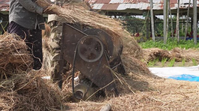 Threshing Machine Separating Grain in Rural Farm Setting