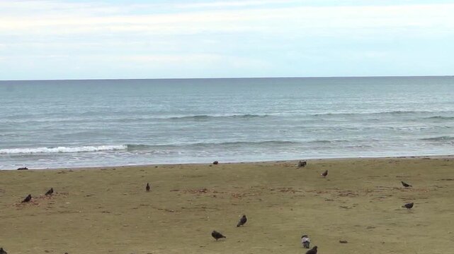  the beach on a cloudy day in Larnaka, Cyprus