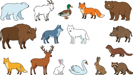 Fototapeta premium Wild forest animals cartoon set including bear, fox, deer, wolf, rabbit, duck and bison, cute wildlife vector illustration collection for kids education and nature design