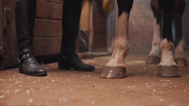 Stable closeup apprentice farrier cleaning hoof, black boots and leather glove, dusty stall floor with scattered shavings, focused hands prepping hoof for shoe, calm instructional tandem moment