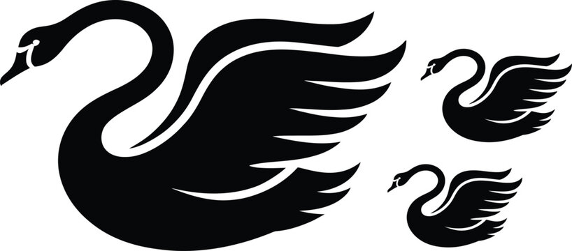 Black swan silhouettes, swan vector icons, bird graphics, wildlife illustrations