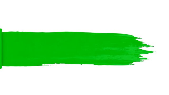 A wide, textured green paint brush stroke horizontally spanning the frame. This artistic element shows visible bristle texture and vibrant pigment, isolated on a clean white backdrop for easy composit