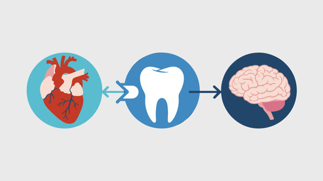 A horizontal sequence of three circular icons depicting a human heart, a tooth, and a brain, connected by directional arrows on a neutral grey background.