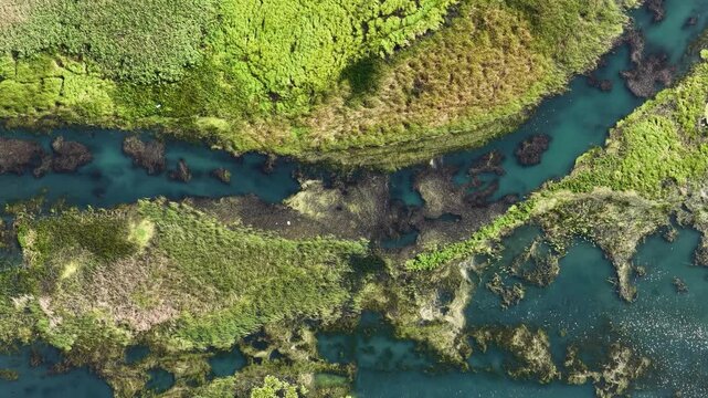 A captivating aerial drone shot showing the turquoise-colored river winding its way through green marshes and wetlands. Nature&rsquo;s unique patterns and vibrant colors.