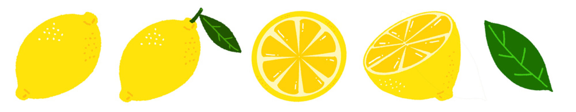 Hand drawn illustration of a yellow lemon leaf sliced lemon