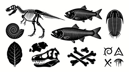 Fossil Silhouette Vector Pack – Prehistoric Discovery Collection © delly