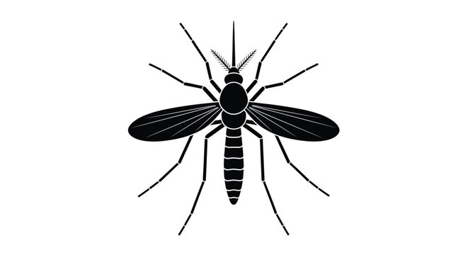 Detailed black silhouette of a single mosquito isolated for use in medical and scientific design projects