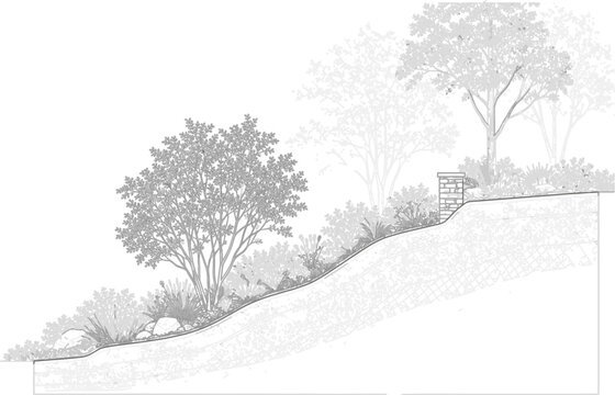 Garden Landscape Plan and Elevation Vector Design with Trees, Pathway, Shrubs, Human Scale and Architectural Site Drawing