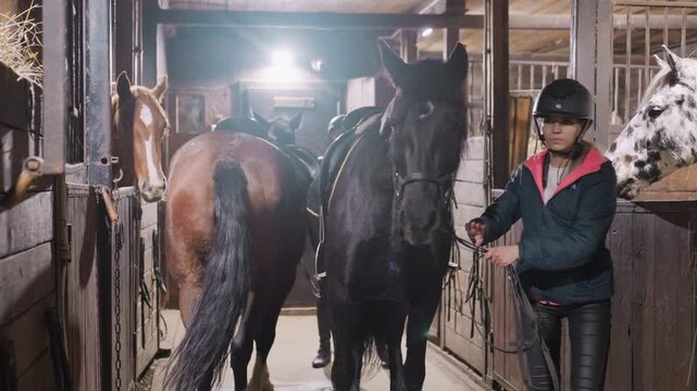 Horses lined in dim stable aisle handlers and rider move horses through wooden stalls, saddles and halters in view, muted barn light, steady hooves and practical boarding routine captured with candid