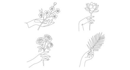 Fototapeta premium Elegant minimalist line art hands holding diverse botanical elements, flowers and leaves