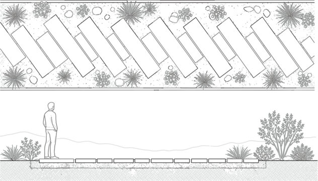 Landscape Garden Walkway Plan and Human Section Drawing, Outdoor Architecture Blueprint with Pavers, Plants and Trees Line Art Vector
