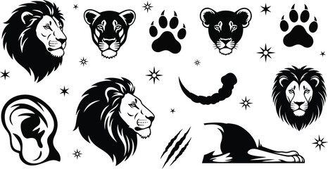 African wildlife collection lions leopards scorpion and paw prints vector art © MDSUHAN
