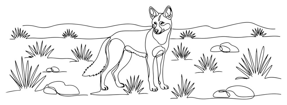 Dingo standing in Australian outback landscape in continuous line art style