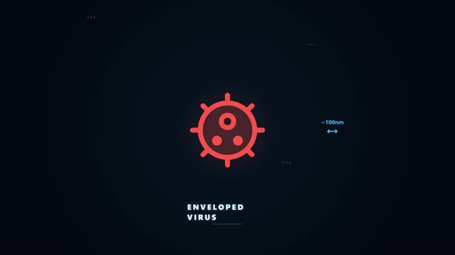 Hantavirus Structure Animated Science Education and Awareness