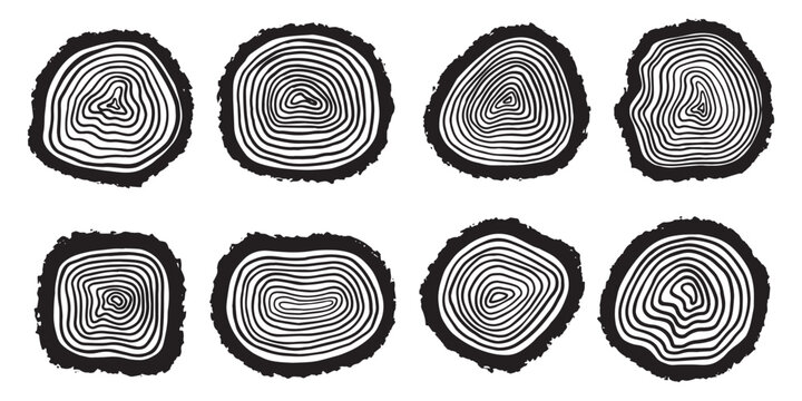 Wood tree trunk rings silhouette. Hand drawn vector set. Detailed black and white texture of a felled tree trunk or stump. Rough organic tree rings with close up of end grain. Circle topography