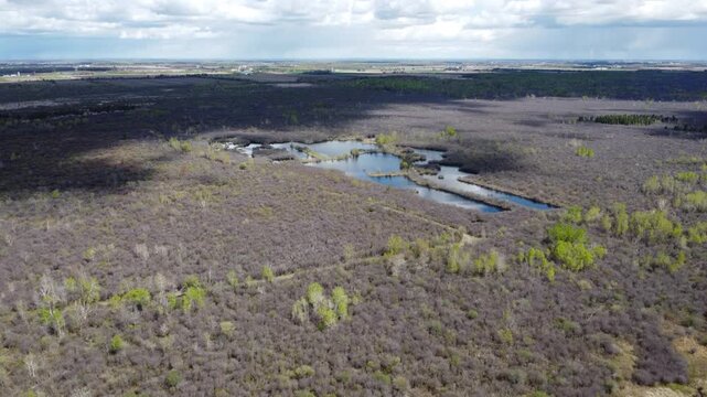 Aerial wide shot of a vast spring landscape with cloud shadows moving over a dense forest and a central blue pond, cinematic drone horizon view of budding woodland under a dramatic cloudy sky, 