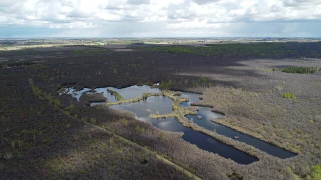 Aerial wide panorama of a vast spring forest with a central lake under a dramatic cloudy sky, cinematic drone flight over budding woodland with shifting shadows on the ground, panoramic view 