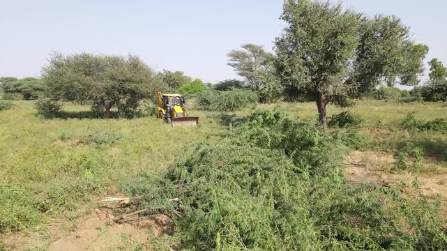 JCB backhoe loader clearing overgrown vegetation and performing earthmoving work in a rural field during daylight. Heavy construction machinery operating in countryside land development project.