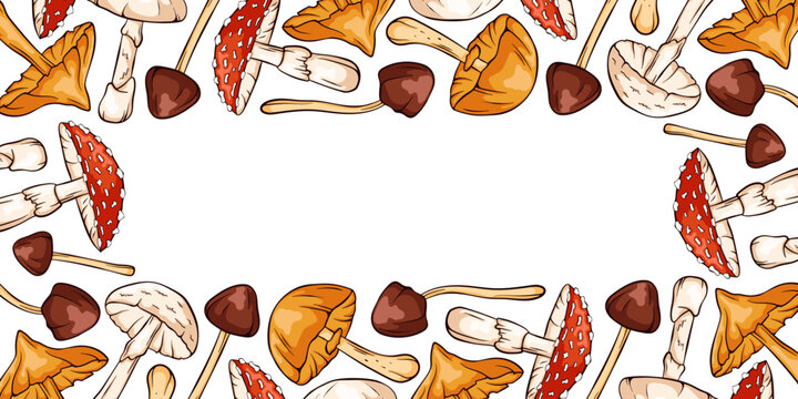 Horizontal decorative border with colorful cartoon inedible mushroom, autumn season and forest nature concept. Mushroom frame illustration for card, banner, poster.